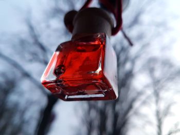 Low angle view of glass bottle hanging