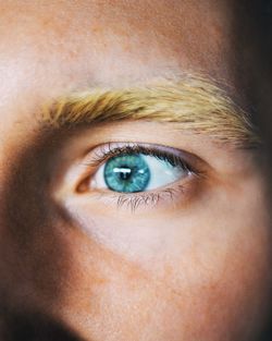 Close-up portrait of human eye