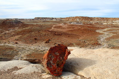 Rock formations in desert against sky