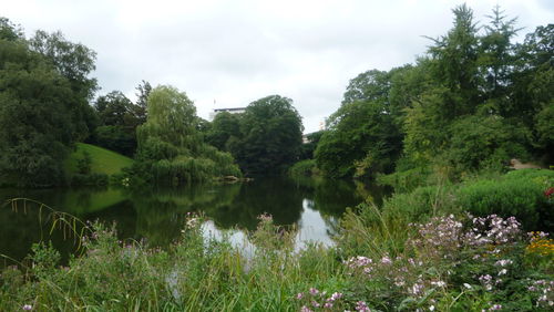 Scenic view of lake and trees against sky