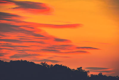 Low angle view of silhouette trees against orange sky