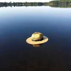 Reflection of trees in water