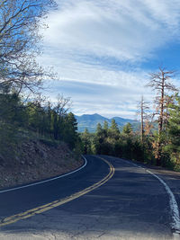 Empty road amidst trees against sky