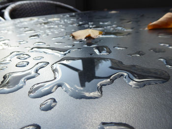 High angle view of leaf on table