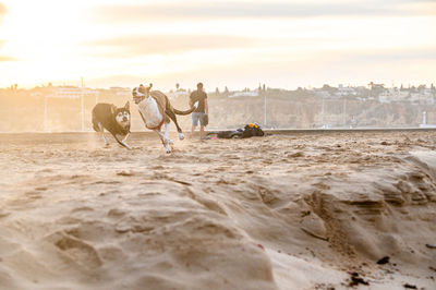 People at beach against sky during sunset