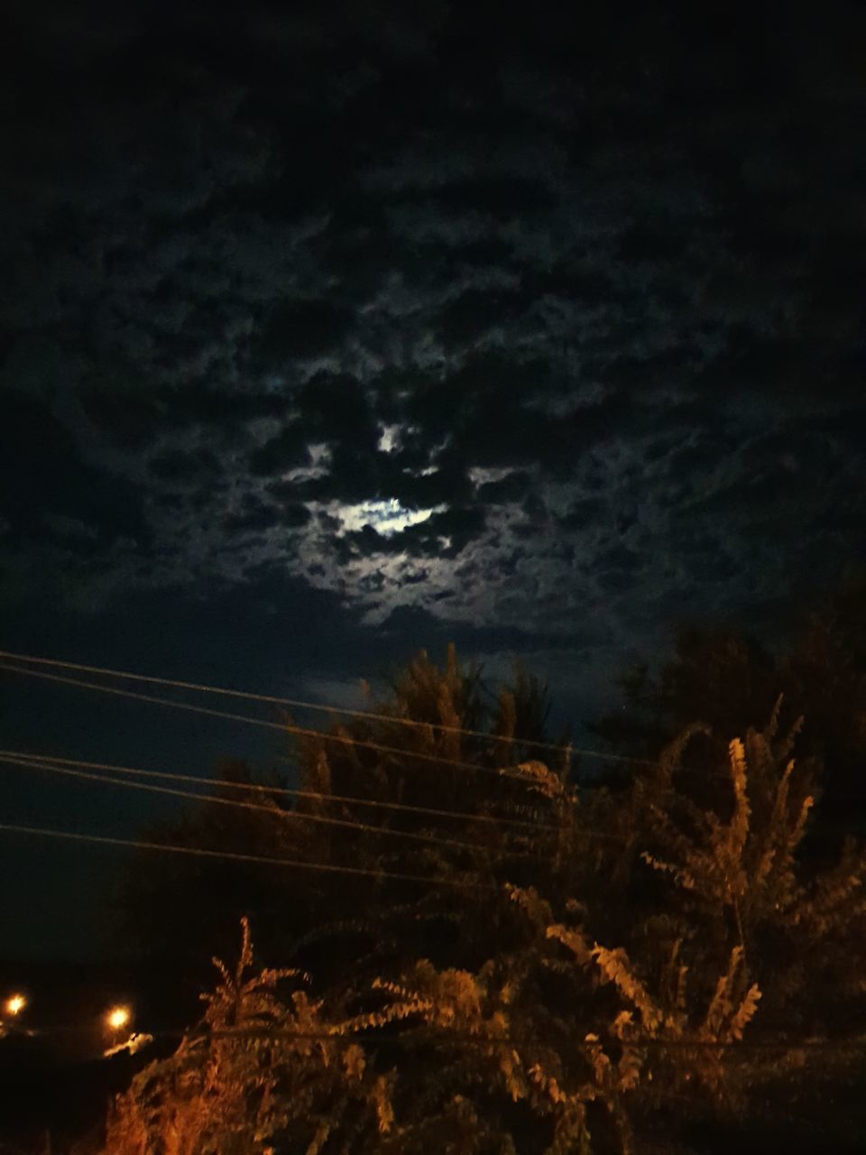 night, sky, nature, moon, no people, cloud - sky, beauty in nature, dusk, outdoors, low angle view, scenics, tree, illuminated, storm cloud, astronomy