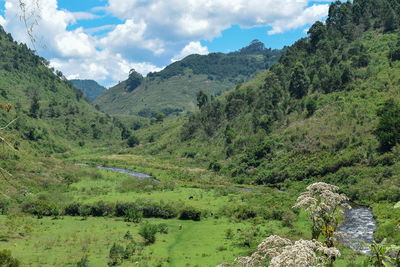 A fresh water river in the mountain landscapes of rural kenya, aberdare ranges, nyeri county