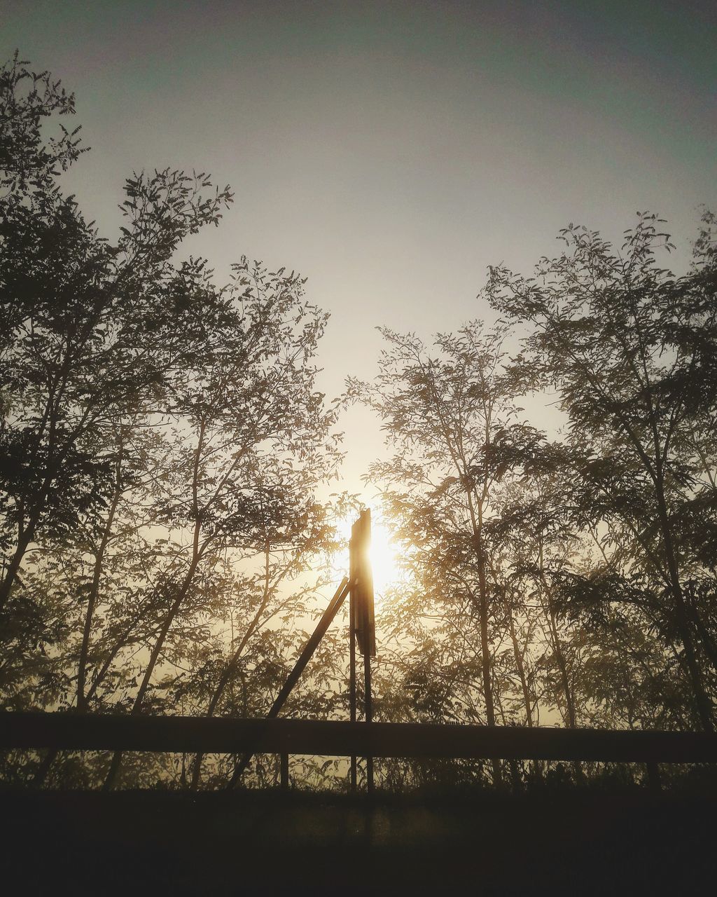 SILHOUETTE MAN STANDING BY TREE AGAINST SKY DURING SUNSET