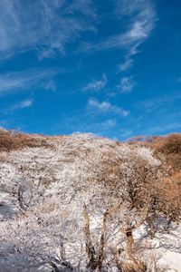 Scenic view of snowcapped mountain against sky