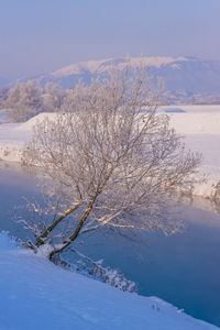 Scenic view of snow covered mountains