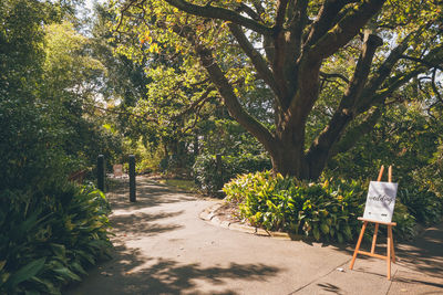 Empty bench by trees in park