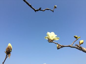 clear sky