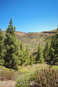 Scenic view of landscape against clear blue sky