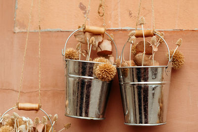 Close-up of potted plants hanging against wall