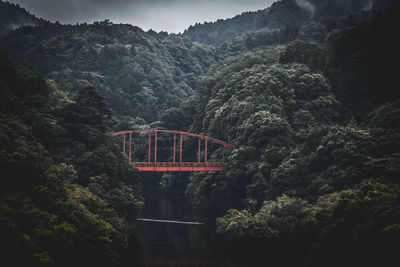 Bridge over river amidst trees on mountains