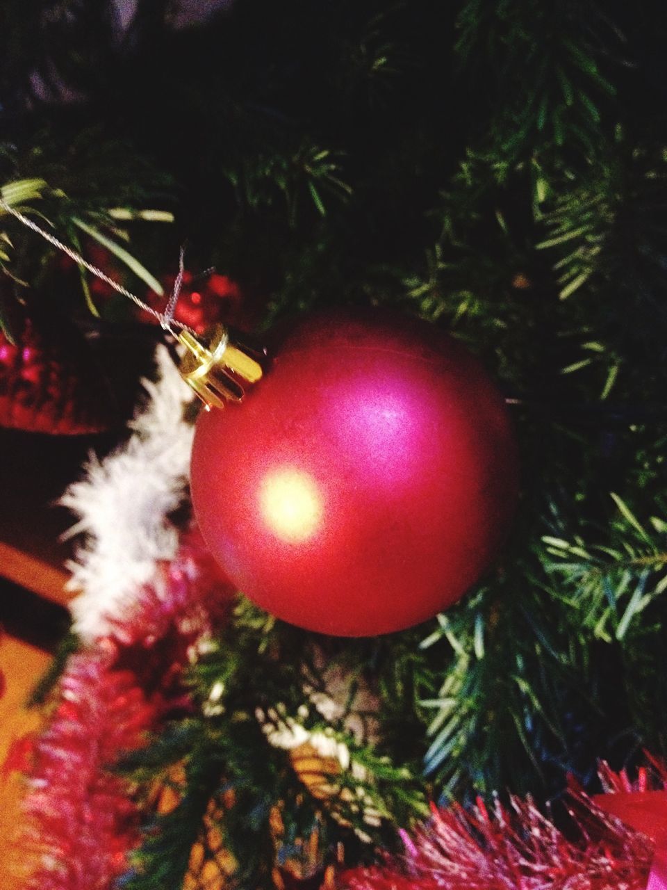 red, christmas, christmas decoration, celebration, christmas tree, christmas ornament, indoors, fruit, close-up, no people, hanging, green color, decoration, tradition, still life, food and drink, growth, plant, tree, night