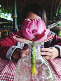 Close-up of woman holding pink flower on table