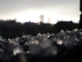 Close-up of frozen water against sky