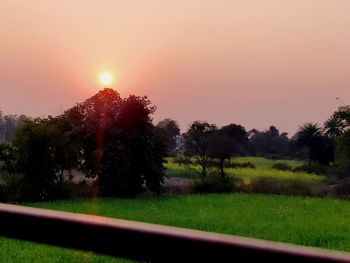 Trees on field against sky during sunset