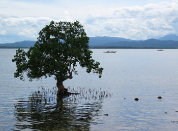 Scenic view of lake against sky