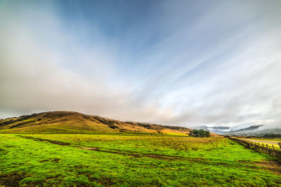 Scenic view of field against sky