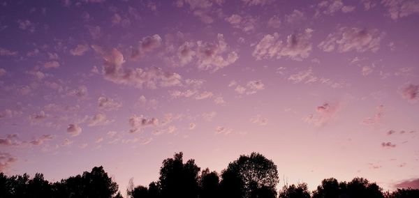 Low angle view of silhouette trees against sky during sunset