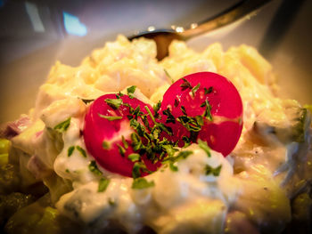 Close-up of food
