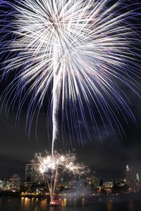 Low angle view of illuminated fireworks