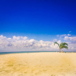 Scenic view of beach against blue sky