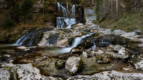 Scenic view of waterfall in forest