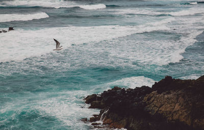 Scenic view of sea shore