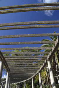 Close-up of trees against sky