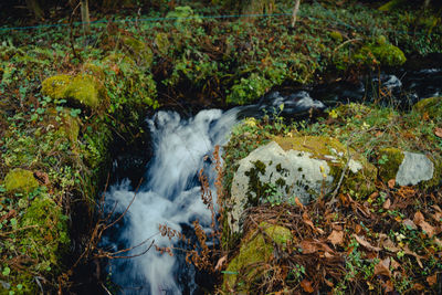 View of waterfall in forest