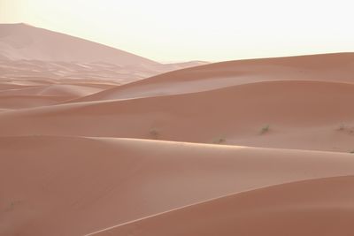 Scenic view of desert against sky