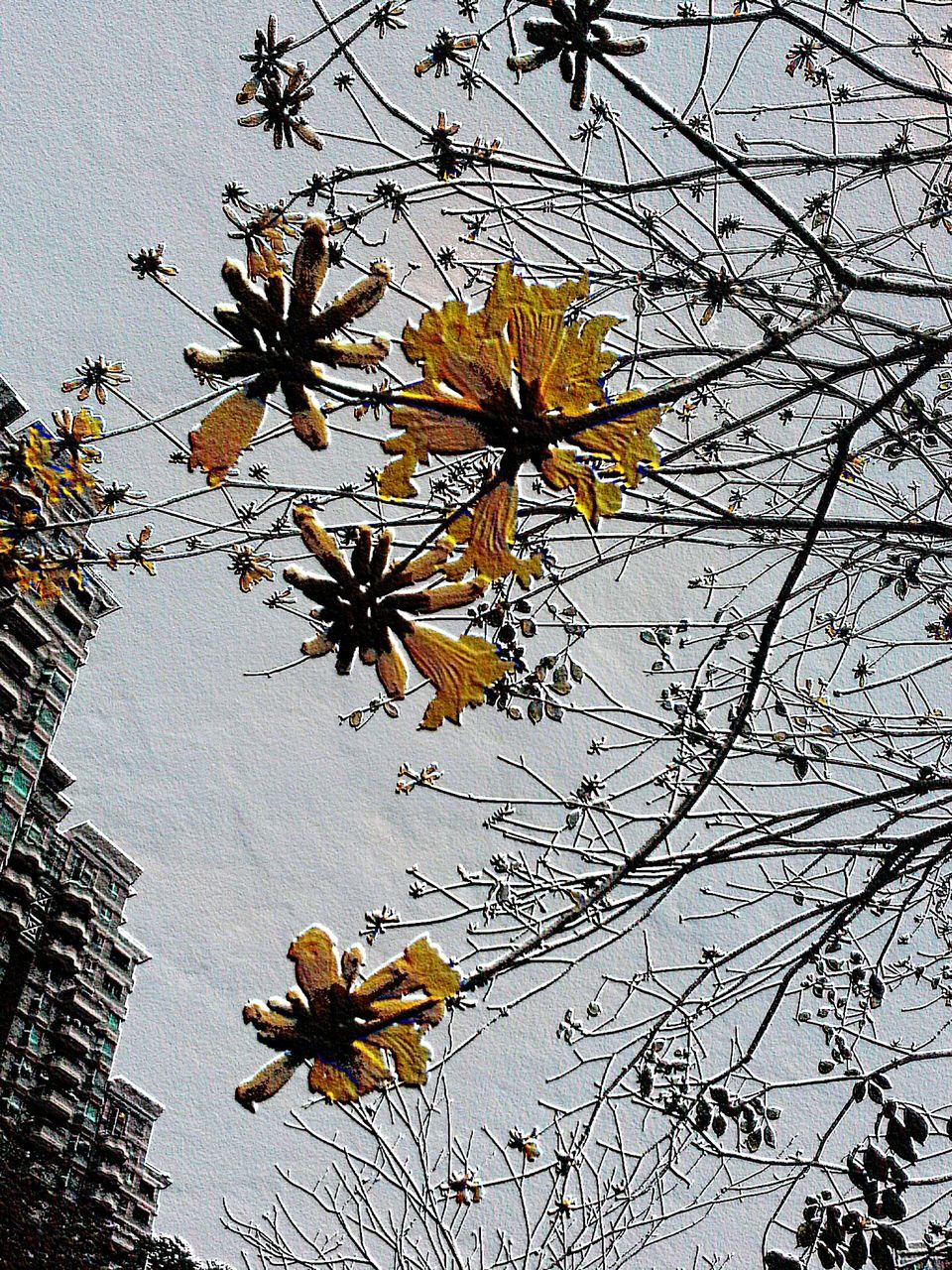 branch, autumn, leaf, season, building exterior, tree, change, built structure, architecture, growth, nature, water, flower, bare tree, fragility, reflection, low angle view, clear sky, no people, twig