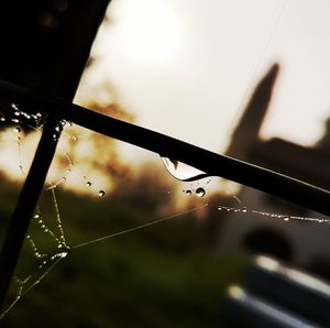 Close-up of water drops on spider web