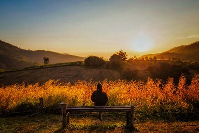 Rear view of woman sitting on bench at field against sky