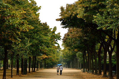 Rear view of couple with umbrella walking on footpath amidst trees