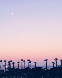 View of trees at sunset