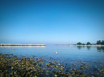 Scenic view of sea against clear sky