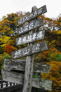 Sign board on tree against sky