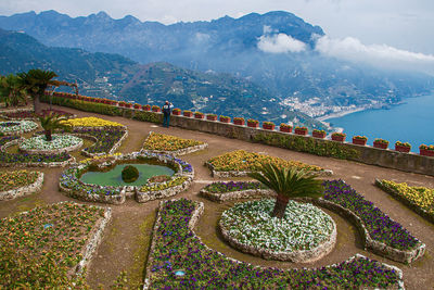 High angle view of plants and mountains against sky