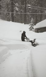 Man with horse on snow covered landscape