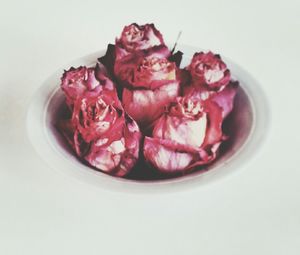 Close-up of food on white background