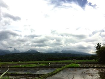 Scenic view of landscape against sky