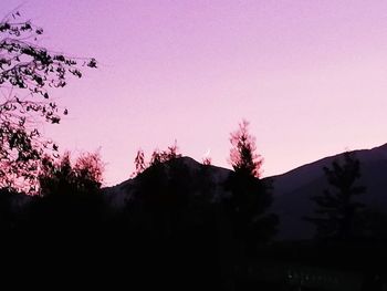 Silhouette trees against sky during sunset