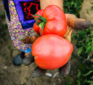 Cropped hand of woman holding heart shape