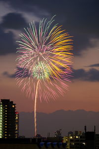 Firework display at night