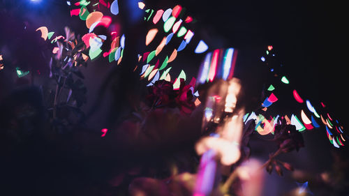Crowd at music concert
