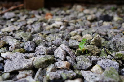 Close-up of stones